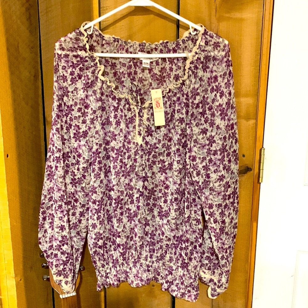 Decree Sheer Blouse